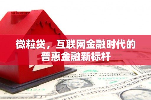 利津微粒贷，互联网金融时代的普惠金融新标杆