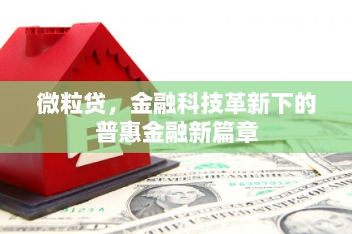 利津微粒贷，金融科技革新下的普惠金融新篇章