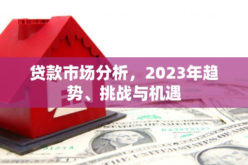 利津贷款市场分析，2023年趋势、挑战与机遇