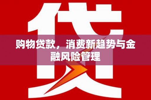 利津购物贷款，消费新趋势与金融风险管理