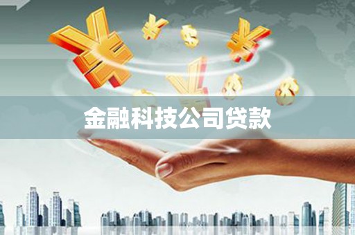 利津金融科技公司贷款