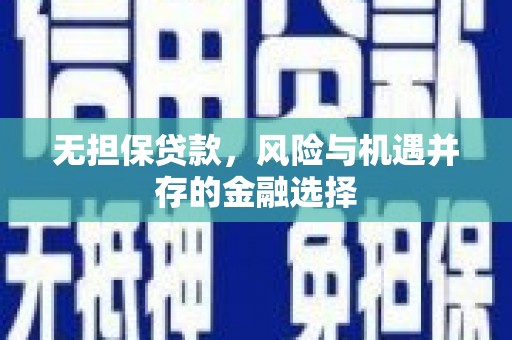 利津无担保贷款，风险与机遇并存的金融选择