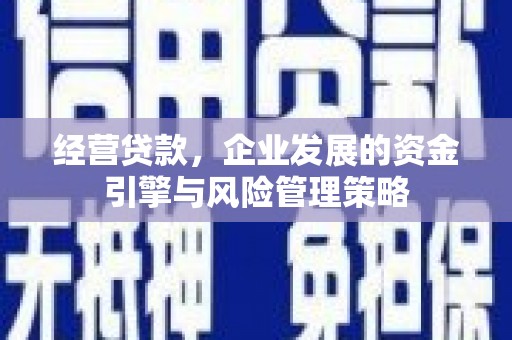 利津经营贷款，企业发展的资金引擎与风险管理策略