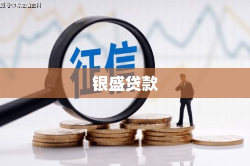 利津银盛贷款