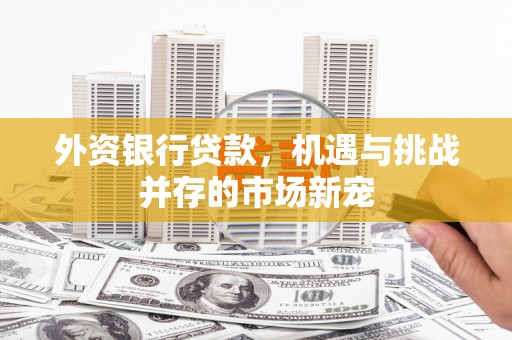 利津外资银行贷款，机遇与挑战并存的市场新宠