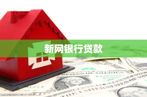 利津新网银行贷款