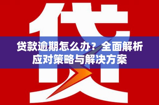 利津贷款逾期怎么办？全面解析应对策略与解决方案