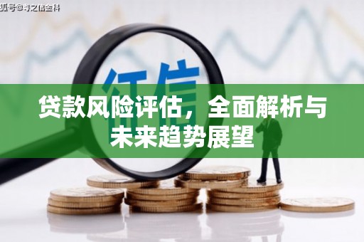 利津贷款风险评估，全面解析与未来趋势展望