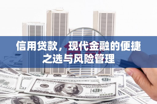 利津信用贷款，现代金融的便捷之选与风险管理