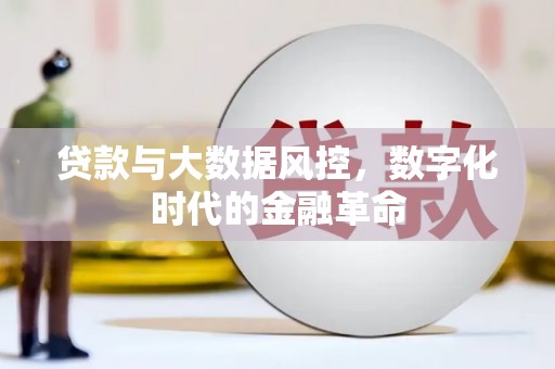 利津贷款与大数据风控，数字化时代的金融革命