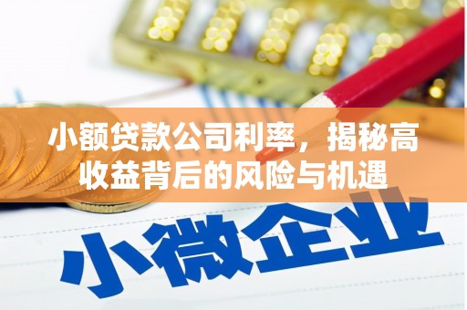 利津小额贷款公司利率，揭秘高收益背后的风险与机遇