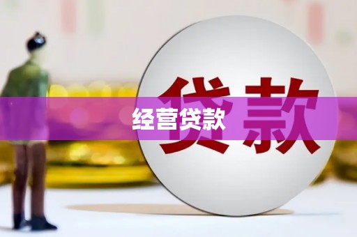 利津经营贷款