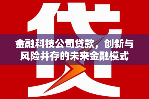 利津金融科技公司贷款，创新与风险并存的未来金融模式