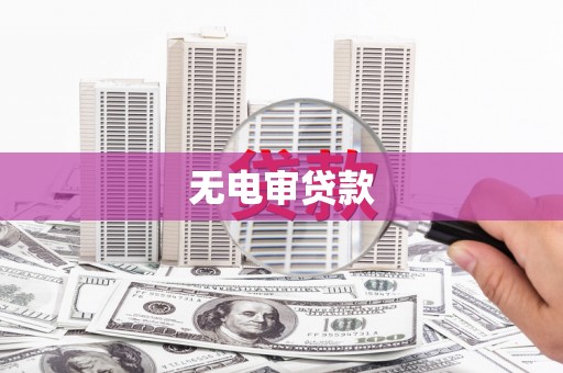 利津无电审贷款