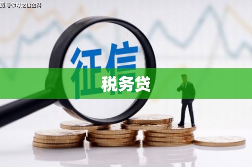 利津税务贷
