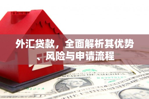 利津外汇贷款，全面解析其优势、风险与申请流程