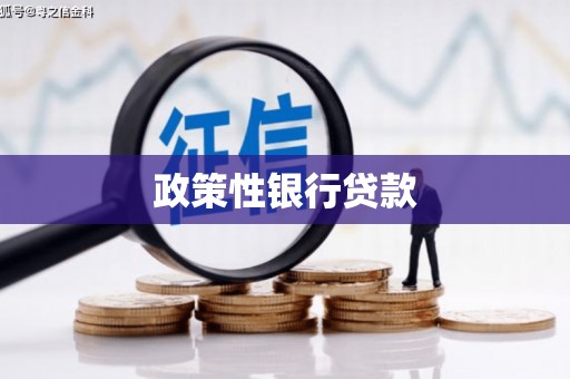 利津政策性银行贷款
