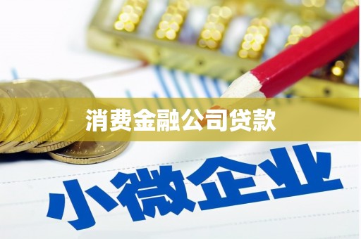 利津消费金融公司贷款