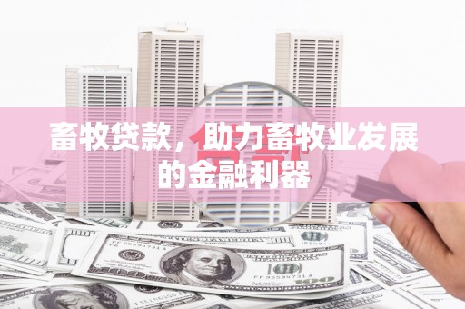 利津畜牧贷款，助力畜牧业发展的金融利器