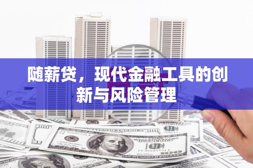 利津随薪贷，现代金融工具的创新与风险管理