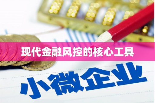 利津现代金融风控的核心工具