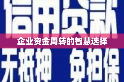 利津企业资金周转的智慧选择