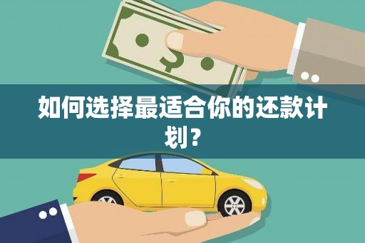 利津如何选择最适合你的还款计划？