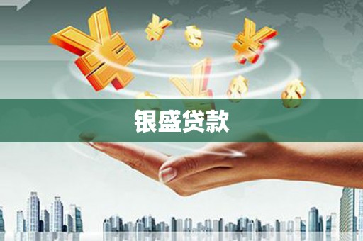 利津银盛贷款