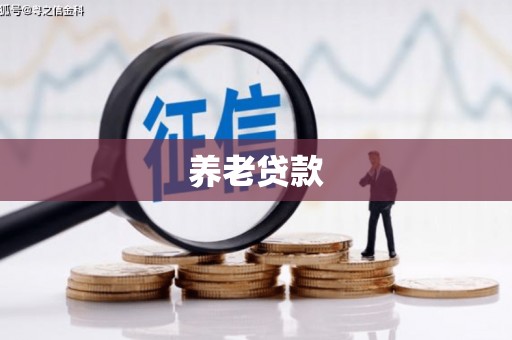 利津养老贷款