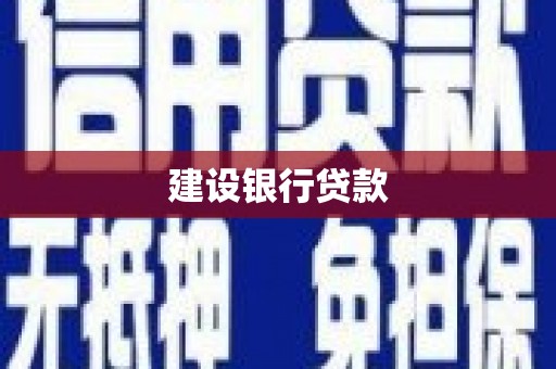利津建设银行贷款