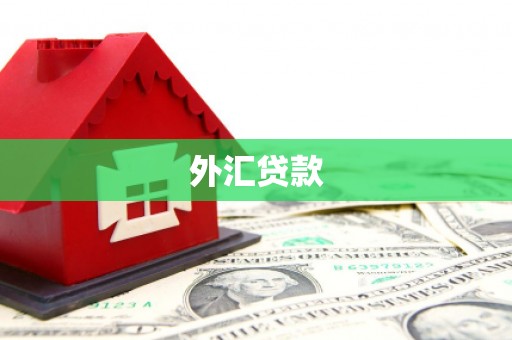 利津外汇贷款