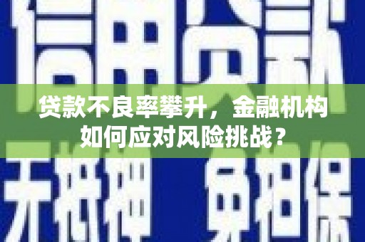 利津贷款不良率攀升，金融机构如何应对风险挑战？