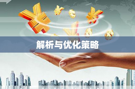 利津解析与优化策略