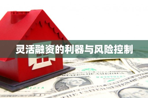 利津灵活融资的利器与风险控制