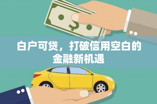 利津白户可贷，打破信用空白的金融新机遇