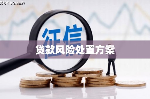 利津贷款风险处置方案