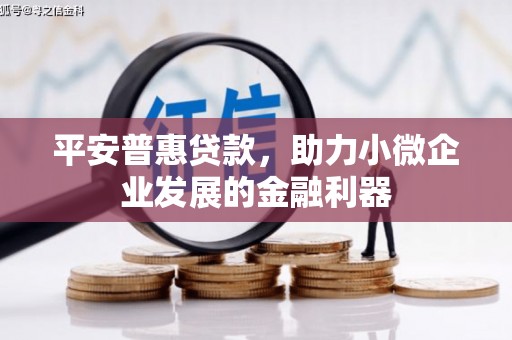 利津平安普惠贷款，助力小微企业发展的金融利器