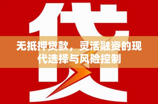 利津无抵押贷款，灵活融资的现代选择与风险控制