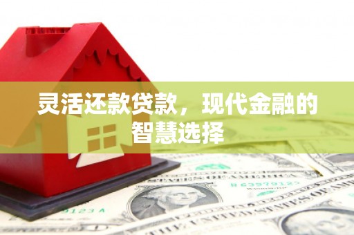 利津灵活还款贷款，现代金融的智慧选择