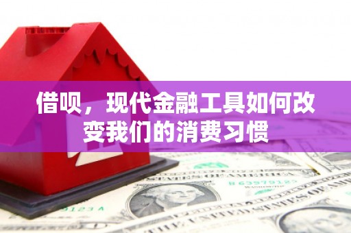 利津借呗，现代金融工具如何改变我们的消费习惯