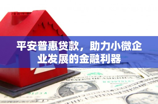 利津平安普惠贷款，助力小微企业发展的金融利器