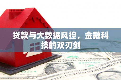利津贷款与大数据风控，金融科技的双刃剑