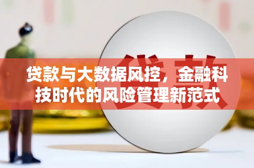 利津贷款与大数据风控，金融科技时代的风险管理新范式