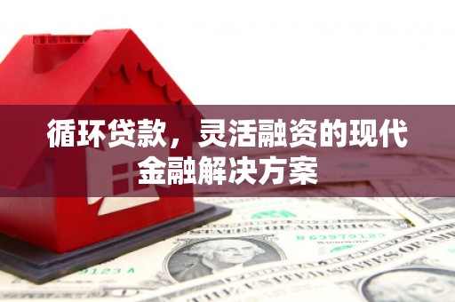利津循环贷款，灵活融资的现代金融解决方案
