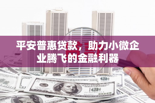 利津平安普惠贷款，助力小微企业腾飞的金融利器