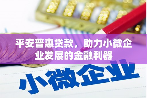 利津平安普惠贷款，助力小微企业发展的金融利器