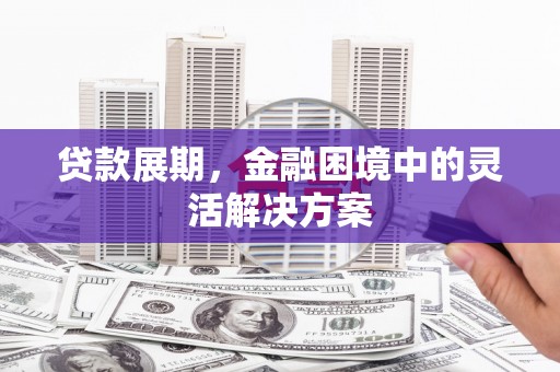 利津贷款展期，金融困境中的灵活解决方案