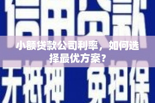 利津小额贷款公司利率，如何选择最优方案？