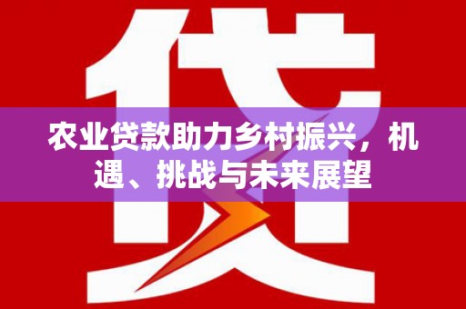 利津农业贷款助力乡村振兴，机遇、挑战与未来展望