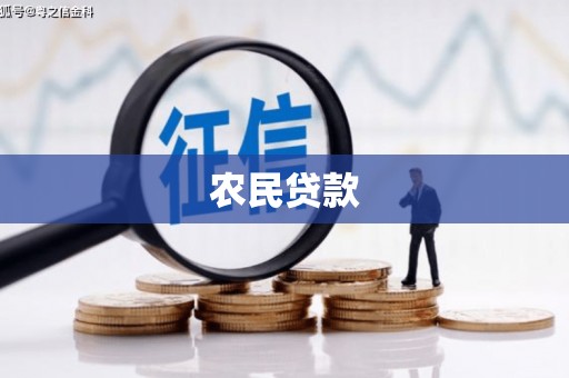利津农民贷款
